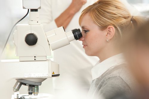 Mikroskopieren gehört zum Berufsalltag von Medizinisch-Technischen Laboratoriumsassistent*innen. (Quelle: Akademie für Gesundheitsberufe/ Universitätsklinikum Ulm)